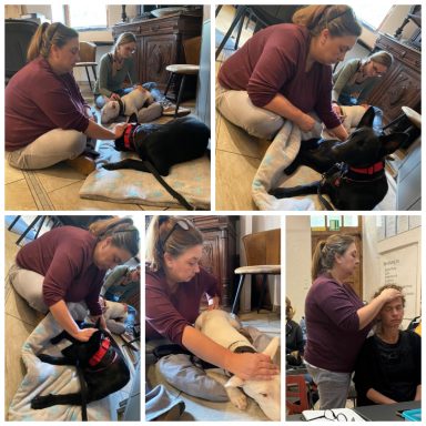 Ausschnitte aus der osteopathischen Ausbildung